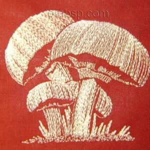 Mushroom Lvs0006