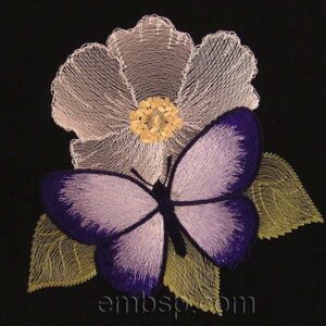 Butterfly bfl0010