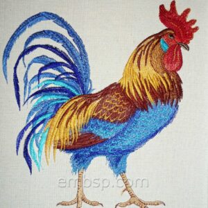 Rooster brd0026_rotated