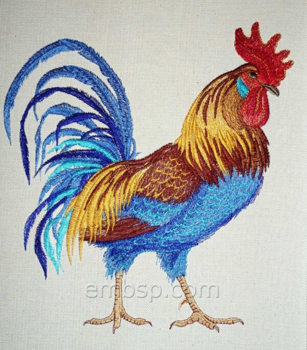 Rooster brd0026_rotated