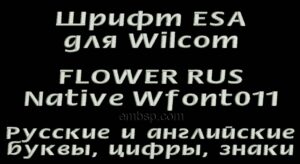 ESA Font Wfont011