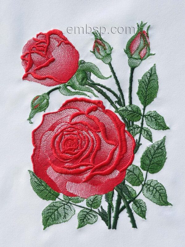 Rose "Inspiration" flw0116