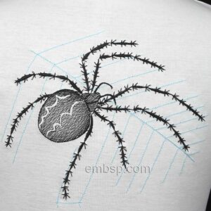 Spider anm0026