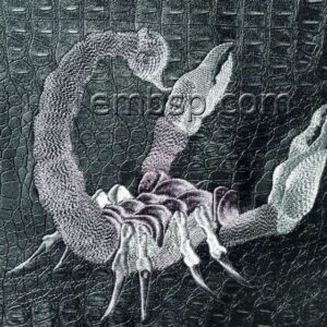 Scorpion anm0027