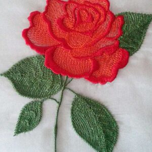 Rose "Confetti" flw0117