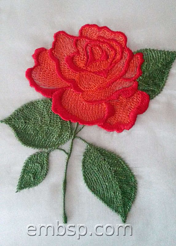 Rose "Confetti" flw0117