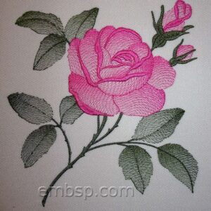 Rose flw0118