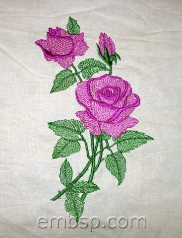 Rose flw0119