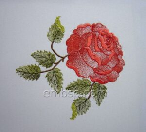 Rose flw0121
