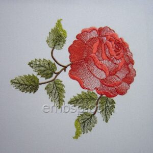 Rose flw0121