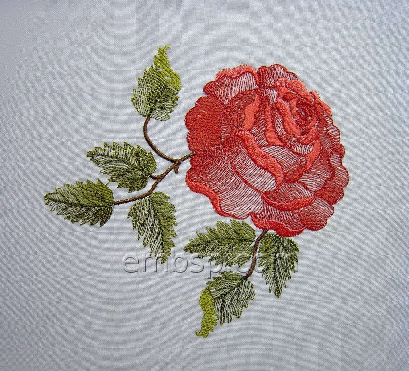 Rose flw0121