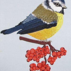 Tomtit brd0043