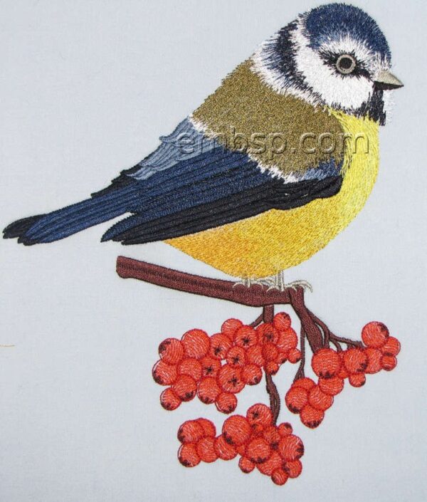 Tomtit brd0043