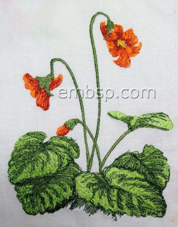 Flower flw0126
