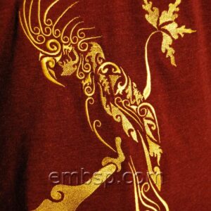 Golden Parrot at sunset brd0051