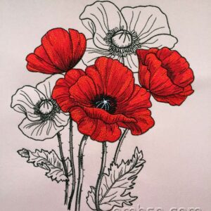Poppies flw0128_rotated