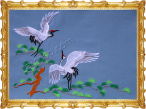 Birds
